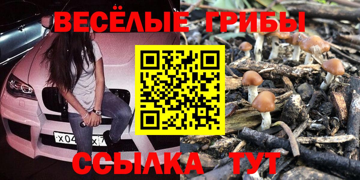 Галлюциногенные грибы GOLDEN TEACHER Зима