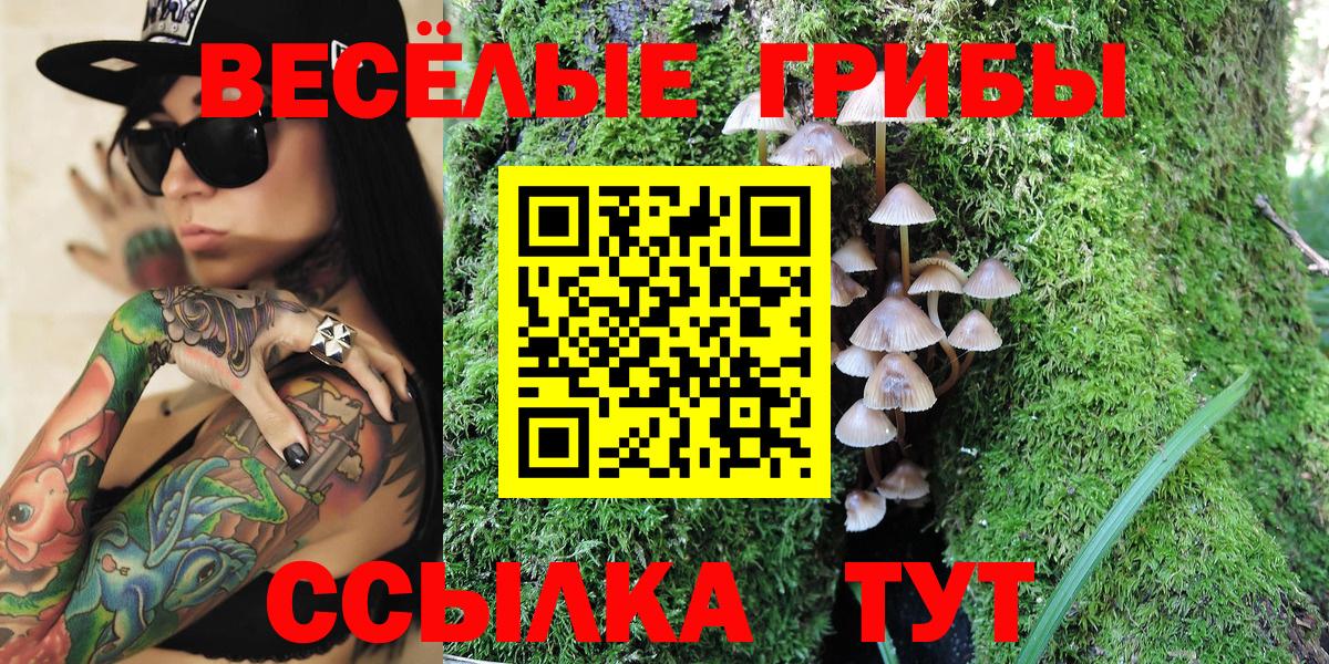 Псилоцибиновые грибы Magic Shrooms  Вход с VPN  Зима 
